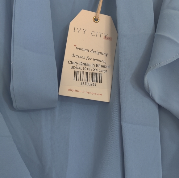 Ivy City Co Clary Dress in Bluebell - Picture 3 of 4
